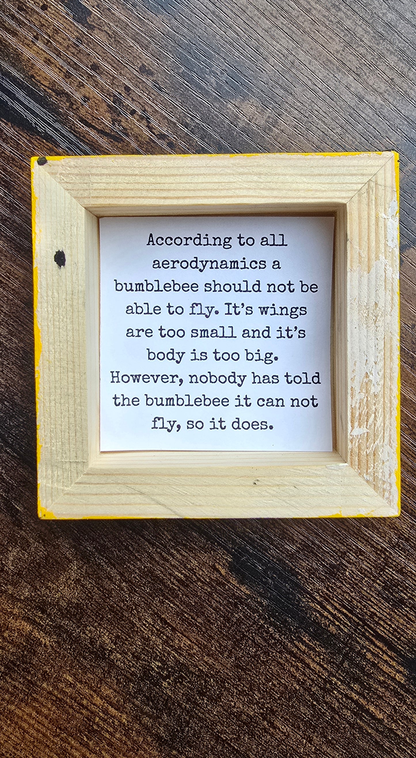 Fly Anyway Bumblebee